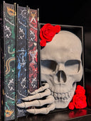 Book Shelfie's & Book Nooks