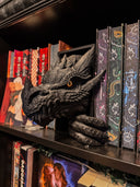 Dragon Book Nook